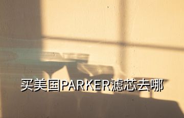 買美國PARKER濾芯去哪