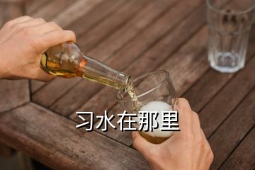 習(xí)水在那里