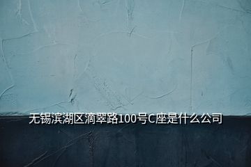 無錫濱湖區(qū)滴翠路100號C座是什么公司