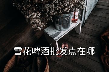 雪花啤酒批發(fā)點(diǎn)在哪