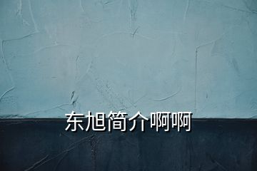 東旭簡(jiǎn)介啊啊