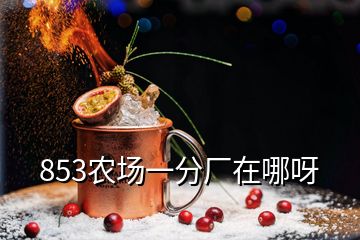 853農(nóng)場(chǎng)一分廠在哪呀