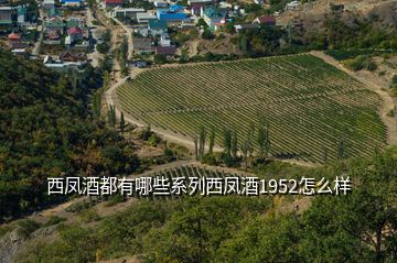 西鳳酒都有哪些系列西鳳酒1952怎么樣