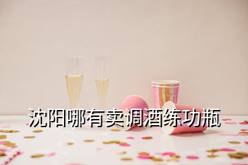 沈陽哪有賣調(diào)酒練功瓶