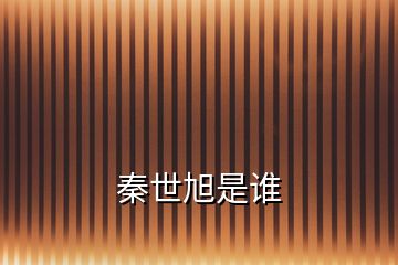 秦世旭是誰(shuí)