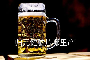 歸元健腦片哪里產(chǎn)