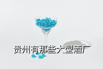 貴州有那些大型酒廠(chǎng)