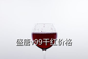 盛唐v99干紅價格