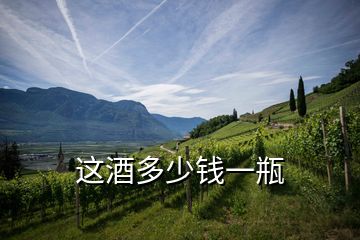 這酒多少錢(qián)一瓶