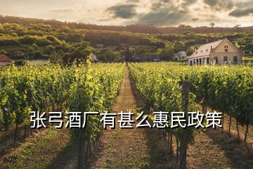 張弓酒廠有甚么惠民政策