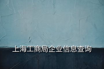 上海工商局企業(yè)信息查詢