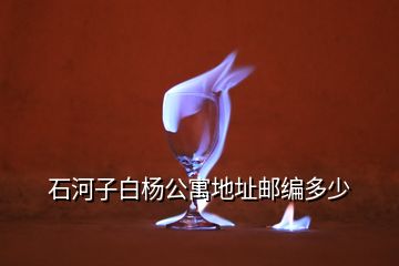 石河子白楊公寓地址郵編多少