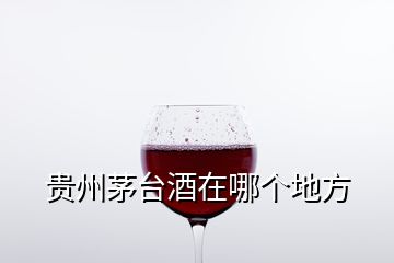 貴州茅臺(tái)酒在哪個(gè)地方