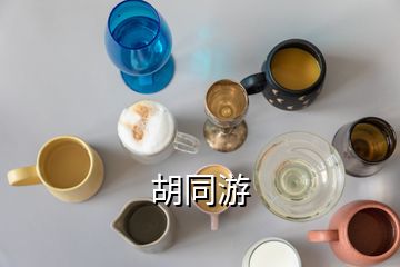 胡同游