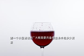 建一個(gè)小型葡萄酒廠大概需要具備哪些條件和多少資金