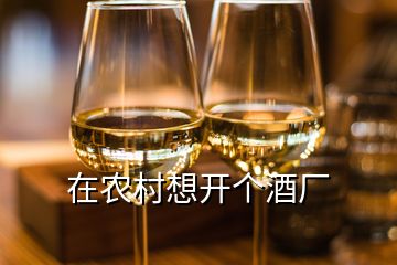 在農(nóng)村想開個酒廠