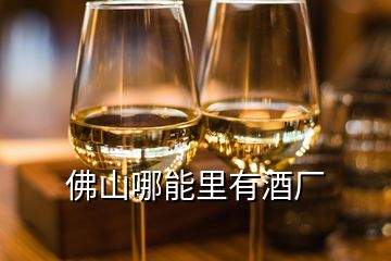 佛山哪能里有酒廠