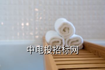 中電投招標網(wǎng)