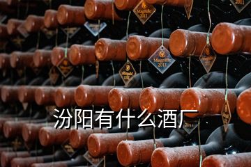 汾陽(yáng)有什么酒廠