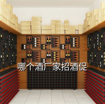 哪個(gè)酒廠家招酒促