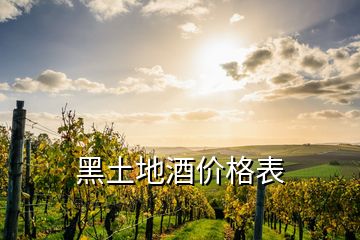 黑土地酒價(jià)格表