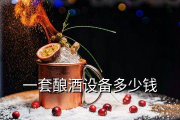 一套釀酒設(shè)備多少錢(qián)