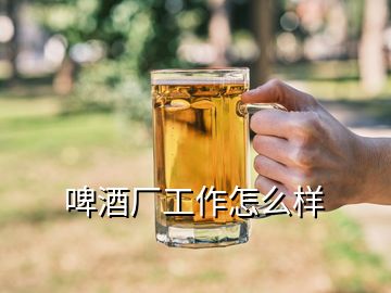 啤酒廠工作怎么樣