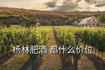 楊林肥酒 都什么價位