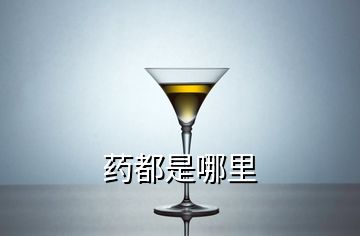 藥都是哪里