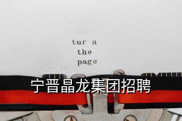 寧晉晶龍集團(tuán)招聘