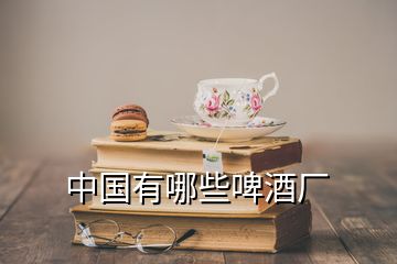 中國有哪些啤酒廠