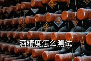 酒精度怎么測(cè)試