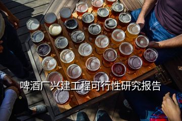 啤酒廠興建工程可行性研究報(bào)告