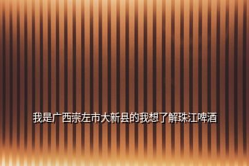 我是廣西崇左市大新縣的我想了解珠江啤酒