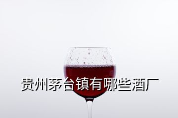 貴州茅臺鎮(zhèn)有哪些酒廠