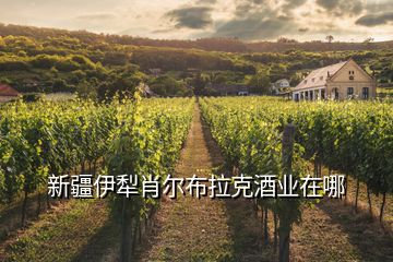 新疆伊犁肖爾布拉克酒業(yè)在哪