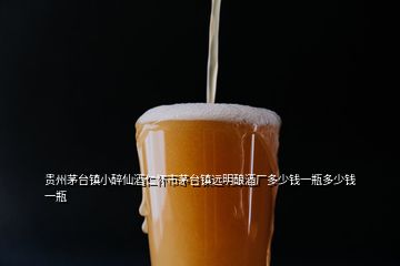 貴州茅臺鎮(zhèn)小醉仙酒仁懷市茅臺鎮(zhèn)遠(yuǎn)明釀酒廠多少錢一瓶多少錢一瓶