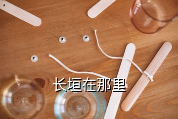 長(zhǎng)垣在那里