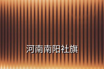 河南南陽(yáng)社旗