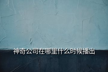 神奇公司在哪里什么時候播出