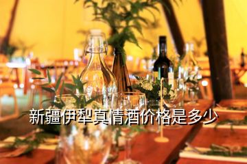 新疆伊犁真情酒價格是多少