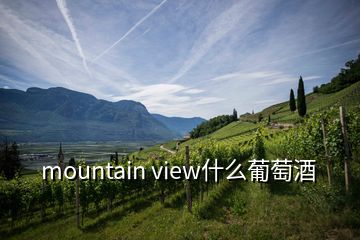 mountain view什么葡萄酒