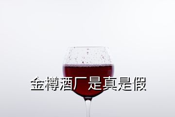 金樽酒廠是真是假