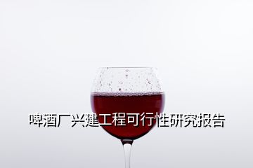 啤酒廠興建工程可行性研究報告