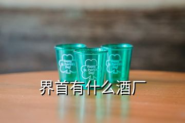 界首有什么酒廠