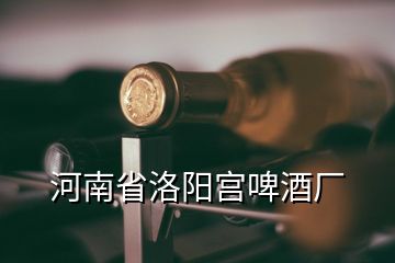 河南省洛陽(yáng)宮啤酒廠(chǎng)