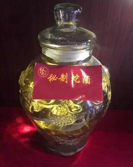 三蛇酒多少錢(qián)一瓶，龍山三蛇酒價(jià)格表