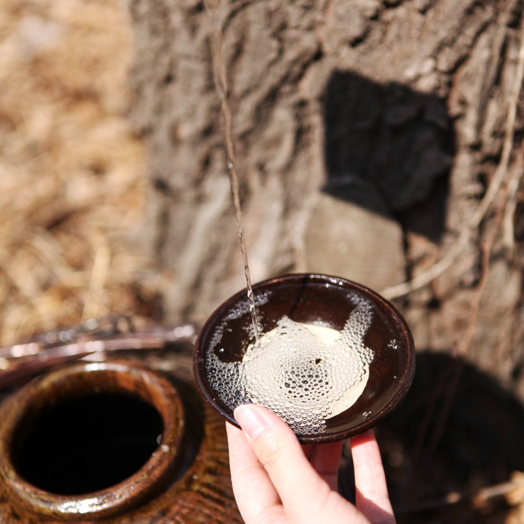 白酒用什么糧食做的