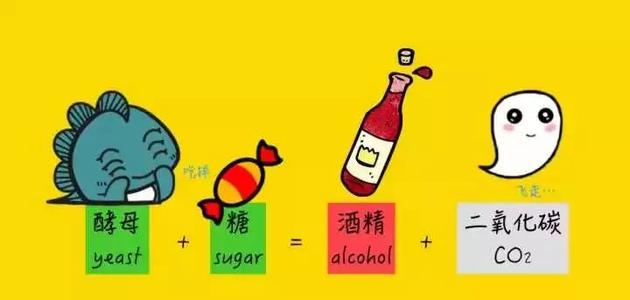 紅酒多少度？是什么影響紅酒的度數(shù)？