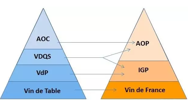 常見的葡萄酒評分體系有哪些,幾種體系你見過幾個